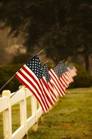 Creative Outdoor 4th of July Decorations for Your Backyard Party Patriotic Pictures, 4th July Crafts, American Flags, United States Flag, 4th Of July Celebration, Patriotic Party, 4th Of July Decorations, July Crafts, Tropical Art