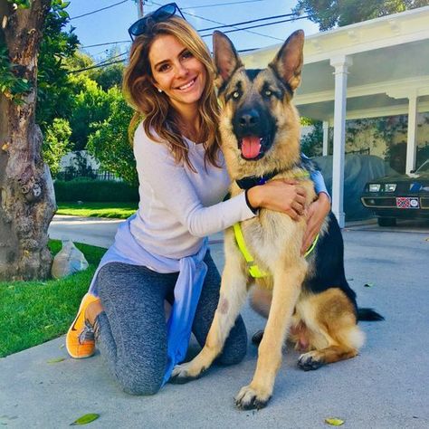 Losing Him, Maria Menounos, Gsd Puppies, Hilary Duff, Nina Dobrev, German Shepherds, Perfect Woman, Chris Evans, Shepherd Dog