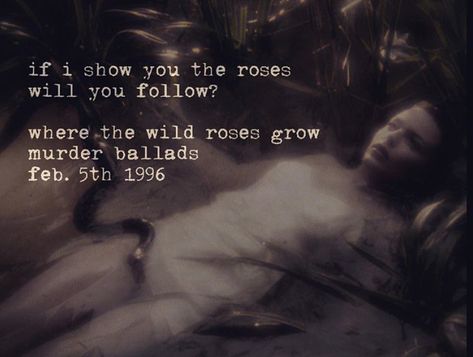 Where The Wild Roses Grow, Nick Cave, Growing Roses, Wild Roses, Typewriter, The Wild, Roses, Quotes, On Instagram