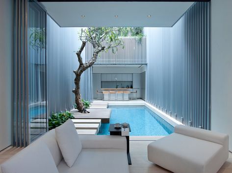 Swimming Pool in interior courtyard, Singapore (semi x-post from r/architecture) [1026 x 768] - Imgur Indoor Swimming Pool Design, Indoor Courtyard, Indoor Pool Design, Courtyard Pool, Piscina Interior, Indoor Pools, Courtyard Design, Basement Pool, Small Pool Design