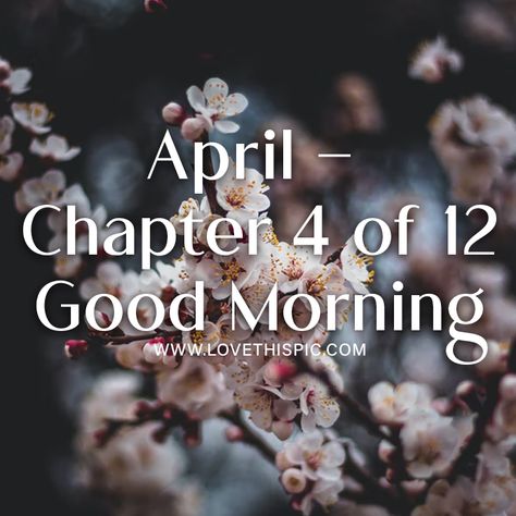 April – Chapter 4 of 12 quotes april good morning good morning quotes hello april april quotes hello april images welcome april quotes good morning april good morning april quotes good morning april images good morning hello april good morning happy april hello april sayings april sayings hello april 2022 april chapter 4 of 12 Happy Thursday Pictures, Thursday Pictures, April Quotes, Good Morning Facebook, Good Morning Happy Thursday, April April, Dogs Pictures, Good Morning My Friend, Friends Pictures