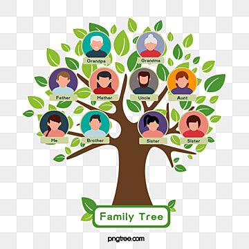 genealogy tree,avatar,family,family tree with hanging head,cartoon family tree,vector family tree,family portrait,family photo,cartoon big tree with avatar Avatar Family Tree, Family Tree Symbols, Avatar Family, Family Tree Diagram, Family Tree Graphic, Family Tree Logo, Family Tree Clipart, Genealogy Tree, Genealogy Gifts