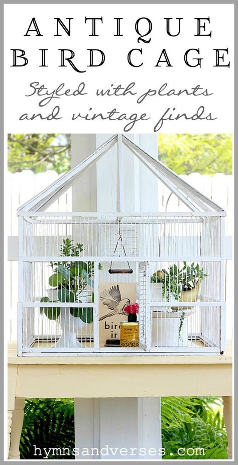 See how I used this Vintage Bird Cage to display various plants and vintage finds as decor on my summertime screen porch. #hymnsandverses #birdcage #vintage #antiquebirdcage #porch #summer #porchdecor Large Bird Cage Decor Ideas, Garden Cages, Homey Cottage, Birdcage Decor, Boutique Displays, Cage Decor, Antique Bird Cages, Vintage Tea Tins, Hanging Bird Cage