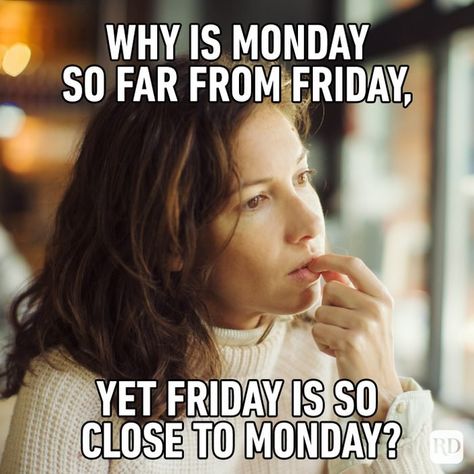 Monday Morning Meme, Happy Monday Funny, Thank You Memes, Memes Work, Funny Monday Memes, Friday Meme, Morning Memes, Monday Memes, Monday Humor