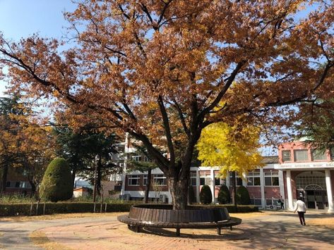 Extraordinary You School, Extraordinary You Aesthetic, Thumbnail Ideas, Yonsei University, Korean Drama Series, Japanese Movies, Garden Theme, Drama Series, Scenery Wallpaper