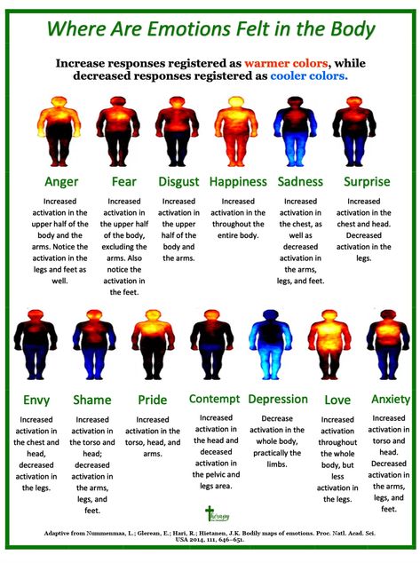 What Emotions Feel Like In The Body Wheel, Body Sensations And Emotions, Feelings In The Body Worksheet, How To Not Show Emotion, How I Feel Emotions In My Body Template, Where Do You Feel Emotions, Felt Sense Therapy, Emotion Vs Feelings, Where You Feel Emotions