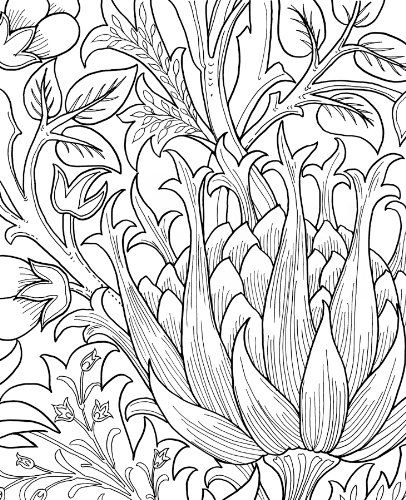 WILLIAM MORRIS COLORING BOOK: WILLIAM MORRIS: 9780764950247: Books - Amazon.ca William Morris Patterns, William Morris Designs, Book Arts, Pre Raphaelite, Amazing Drawings, Outline Drawings, Arts And Crafts Movement, Colouring Books, Stencil Designs