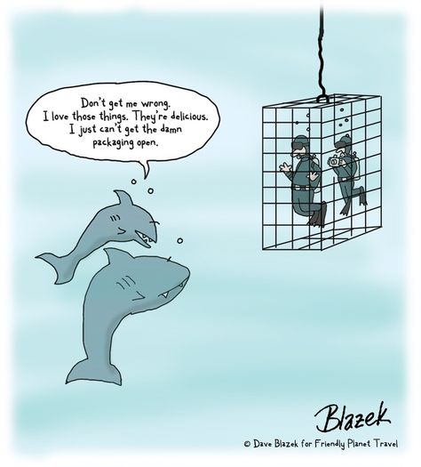 Funny sharks Shark Week Funny, Funny Sharks, Sharks Funny, Shark Week, Sharks, Google Chat, Funny Cats, Funny Animals, Blog Post