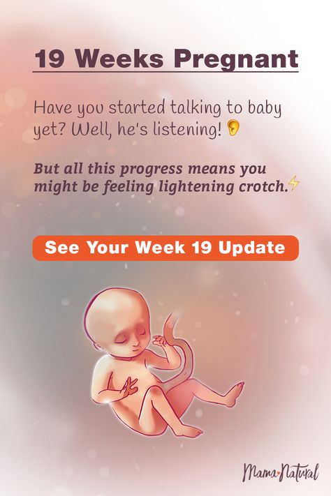 Pregnancy Symptoms By Week, Second Trimester Pregnancy, 21 Weeks Pregnant, 19 Weeks Pregnant, Baby Development Activities, 20 Weeks Pregnant, Pregnancy Guide, Natural Pregnancy, Second Trimester