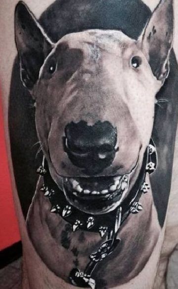 Bull Terrier Tattoo, The Bull, Bull Terriers, Losing A Dog, Physical Activity, Cat Owners, Siberian Husky, Cool Names, Litter Box