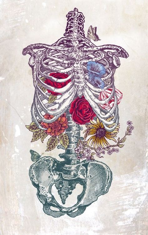 I just love this skeleton and flowers illustration...never would have thought I would think a skeleton was gorgeous! - La Vita Nuova (The New Life) Art Print by Rachel Caldwell | Society6 Skeleton Art, Medical Art, Art Disney, Arte Inspo, Art And Illustration, Anatomy Art, Skull Art, A Drawing, الرسومات اللطيفة