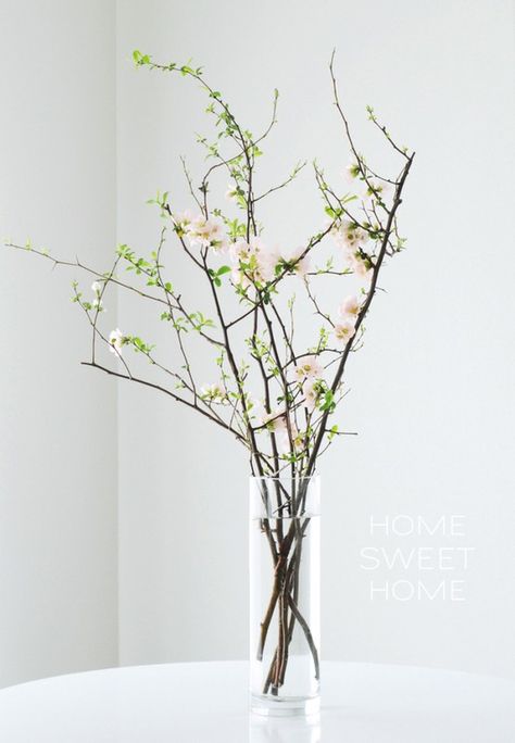 Tips for keeping cut branches fresh.  Repinned from:  https://www.pinterest.com/raffles1825/ Branch Centerpieces, Vase With Branches, Vase Arrangements, Deco Floral, Welcome Spring, Gardening Supplies, Spring Home, Ikebana, Decoration Design