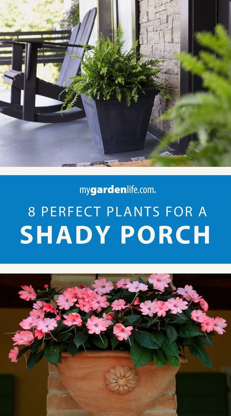 Turn your porch into a shady oasis with these DIY planting ideas! Explore creative shade planters and learn how to design a front porch shade garden that reflects your style. From hanging baskets to decorative pots, discover the prefect plants for a back porch with shade and enhance your outdoor living space. Find more shade planting tips and porch planter ideas at MyGardenLife.com. Shaded Porch Ideas, Front Porch Planters Shade, Shaded Front Porch Ideas, Shade Pots Front Porches, Porch Plants Shade, Hanging Planters Diy, Shade Planters, Planters For Shade, Shade Containers