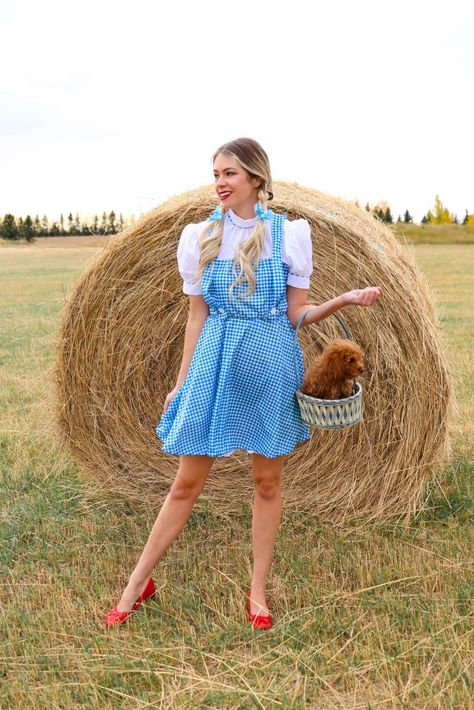 Diy Dorothy Costume For Women, Dorothy And Toto Costume, Dorothy Wizard Of Oz Costume, Solo Girl Halloween Costumes, Dorothy Costume Diy, Wizard Of Oz Dorothy Costume, Dorothy Halloween Costume, Modest Halloween Costumes, Dorothy Costume