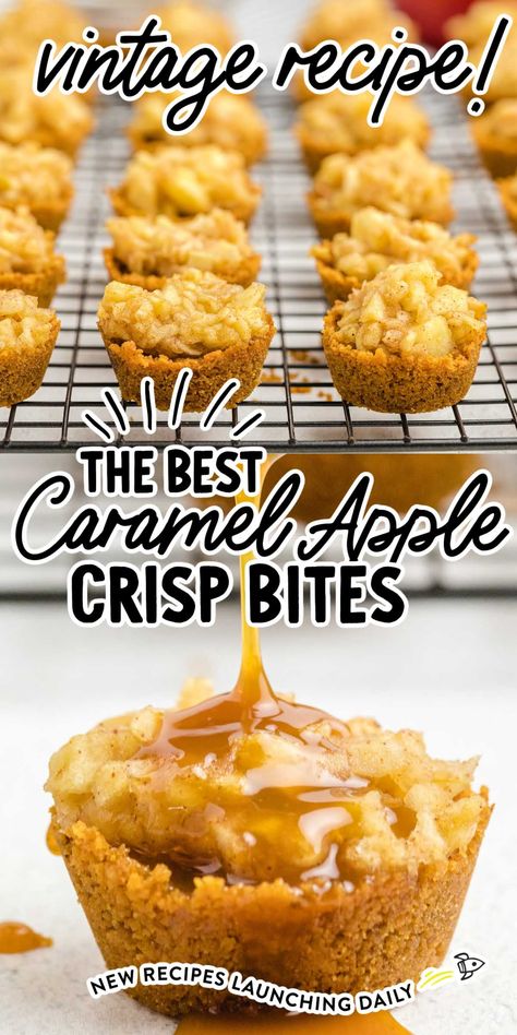 Caramel Apple Crisp Bites are a fun play on a classic fall dessert. This recipe is so yummy and makes for the best mini apple crisp bites. Each bite is bursting with gooey, warm apple filling and drizzled caramel, all inside a crunchy graham cracker crust. Finger Desserts For Fall, Caramel Apple Bites Recipe, Caramel Apple Bites Easy, Mini Apple Crisp Cups, Carmel Apple Appetizers, Apple Crisp Bites Recipe, Apple Crumble Individual Desserts, Make Ahead Apple Desserts, Fall Dessert Tray Ideas