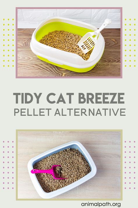 Find out what alternatives there are for the tidy cat breeze pellets. Tidy Cat Litter, Litter Box Smell, Box Hacks, A Lot Of Hair, Tidy Cats, Urine Odor, Cat Pad, Solid Waste, Cat Parenting