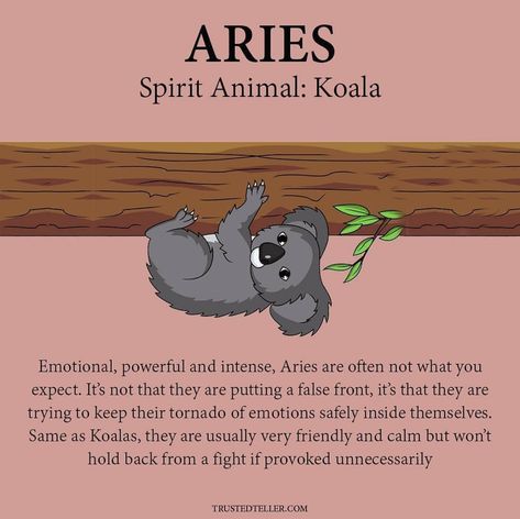 Aries Spirit Animal, Zodiac Signs Animals, Aries Sun, Aries Aesthetic, Aries Baby, Aries And Scorpio, Zodiac Things, Aries Season, Aries Zodiac Facts