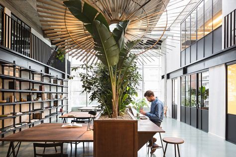 NYC’s High Line inspired this sleek coworking space in Belgium - Curbed Coworking Space Design, Medical Office Design, Coworking Office, Traditional Office, Shared Office, Cool Office, Sushi Bar, Workplace Design, Workspace Design