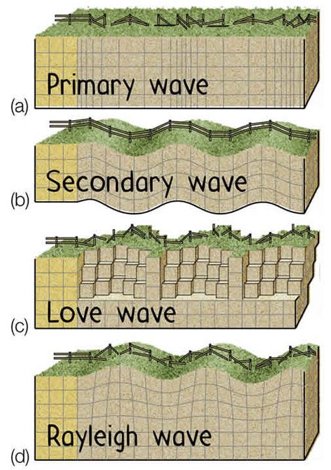 What are the three types of waves generate during an earthquake? | Socratic Waves In Physics, Tsunami Infographic, Seismic Waves Art, Types Of Waves Science, Parts Of A Wave, Seismic Waves, S Waves, Effects Of Tsunami, Visual Summary