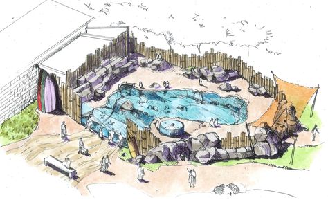 Scovill zoo, Penguin exhibit Zoo Exhibit Design, Penguin Exhibit, Penguin Habitat, Zoo Exhibit, Zoo Boo, Zoo Inspiration, Zoo Map, Zoo Design, Zoo Project