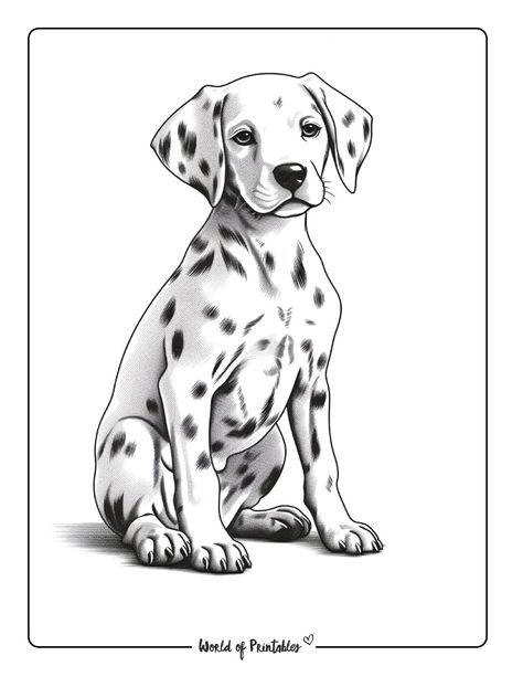 Dalmation Drawing, World Of Printables, Dog Coloring Book, Puppy Coloring Pages, Bulldog Francese, Unique Coloring Pages, Coloring Activity, Animal Coloring, Activity For Kids