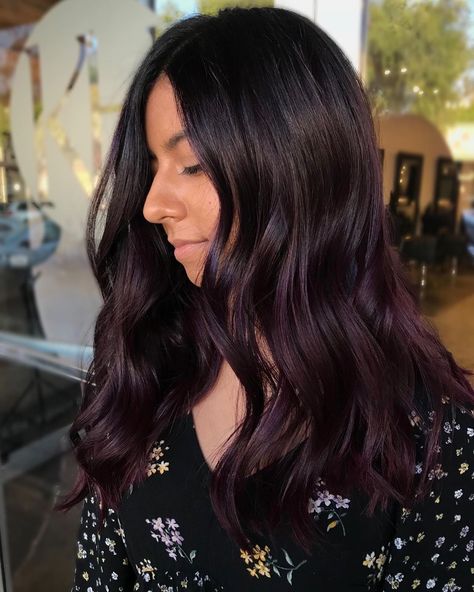 Plum Balayage, Dark Plum Hair Color, Balayage Dark Hair, Violet Brown Hair, Plum Brown Hair, Dark Violet Hair, Balyage Hair, Balayage Dark, Dark Brown Hair Balayage