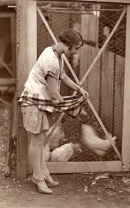 Vintage egg collecting......beautiful ! Feeding Chickens, Chicken Lady, Farm Photo, Chickens And Roosters, Winner Winner, Vintage Farm, Body Reference, Vintage Life, A Chicken