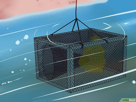 How to Make a Fish Trap: 14 Steps (with Pictures) - wikiHow Catfish Trap Diy, Fish Traps Diy How To Make, Diy Minnow Trap, Diy Fish Trap, Fish Traps Diy, Catfish Trap, Turtle Traps, Crawfish Traps, Minnow Trap