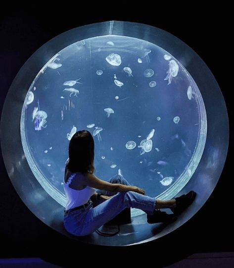 We can create for you custom made circle shaped jellyfish aquarium. Size is not limited. Please contact us for more details. Jelly Fish Aquarium Home, Aquarium In House, At Home Aquarium, Cool Aquariums, Aquarium Bedroom, Circle Things, Hawaiian Bedroom, Giant Jellyfish, Pet Jellyfish