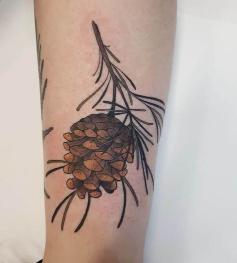 Pine Cone Tattoo, Pinecone Tattoo, Cone Tattoo, Tattoo Symbolism, Botanical Tattoo Design, Tattoo Dublin, Pine Tattoo, Tiger Tattoo Sleeve, Autumn Tattoo