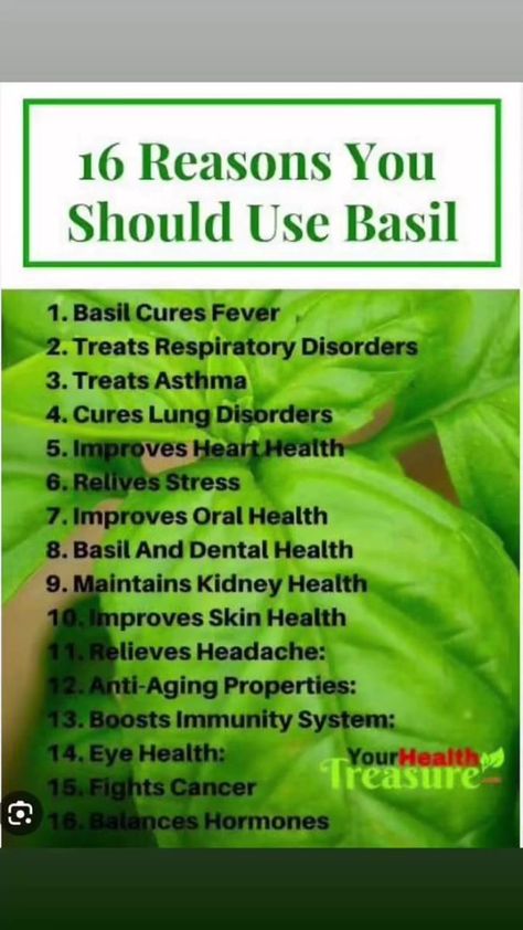 Tulsi Benefits, Health Benefits Of Basil, Tulsi Basil, Benefits Of Basil, Basil Health Benefits, Respiratory Disorders, Fruit Nutrition, Heart Diseases, Healthy Lungs