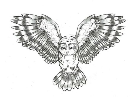 Owl Drawings, Freedom Bird, Imprimibles Harry Potter, Owl Wings, Owl Tattoo Design, Owls Drawing, Wings Tattoo, Owl Tattoo, Chest Piece