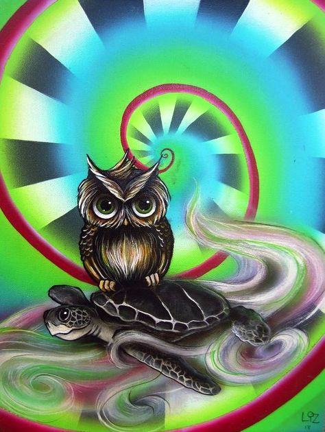 owl and turtle by Elizabeth Letourneau Owl Drawing, Owl Images, Owl Wallpaper, Paper Owls, Owls Drawing, Owl Pet, Owl Pictures, Pretty Backgrounds, Beautiful Owl