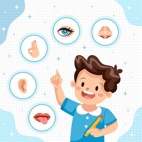 Free vector hand drawn 5 senses illustra... | Free Vector #Freepik #freevector #five-senses #senses #nose #ear Five Senses Illustration, 5 Senses Illustration, Senses Illustration, My Five Senses, 5 Senses, Five Senses, Cute Clipart, Alphabet Activities, Class Ideas