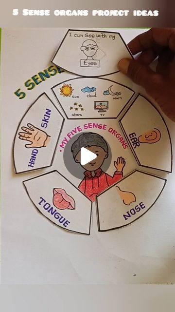 Tlm For Special Education, 5 Sense Organs Project, Student Project Ideas, 5 Senses Projects For Kids, 5 Senses Project, Science Project For Kindergarten, 5 Sense Organs Chart, Sense Organs Drawing, Sense Organs Project