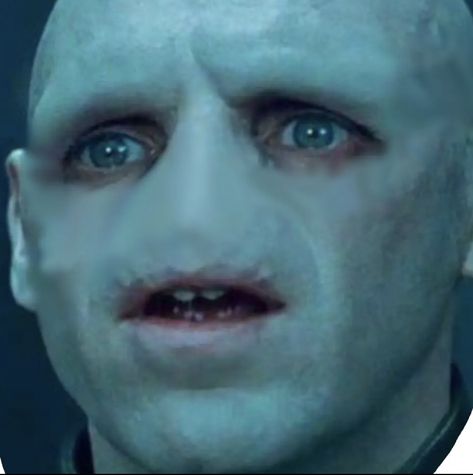 Lord voldy moldy Voldy Moldy, Harry Potter Memes, Harry Potter, Collage, Memes, Pins