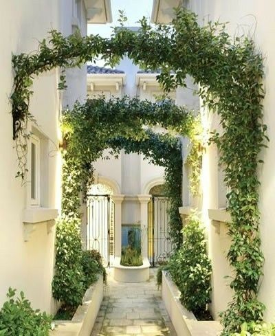 ❤ Side Yards, Garden Vines, Garden Arbor, Landscape Designs, Have Inspiration, House Things, Side Yard, Enchanted Garden, Garden Gates