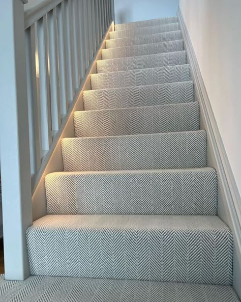 Stair Carpets Ideas Hallways, Stairs Design Carpet, Rendered Porch On Brick House, Basement Wall To Wall Carpet, Full Carpet On Stairs, Hallway Stairs Carpet Ideas, Stairs And Hallway Ideas Modern, Hall Stairs Carpet Ideas, Carpeted Hallway Ideas