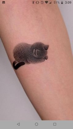 Japanese Cat Tattoo, Friends In Paris, Cat Tattoos, We Are Grateful, Japanese Cat, Collar Bone Tattoo, Funny Times, Cat Tattoo, Ear Tattoo