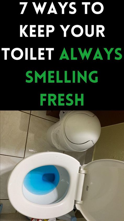 The Toilet Always Smells Fresh And Stays Clean All You Need Is Clean Toilet: Esay Tips Toilet Cleaning Hacks Smell, How To Make Your Toilet Smell Good, Smelly Toilet Remedy, Stinky Toilet Remedy, How To Make Toilet Smell Good, How To Keep Toilet Smelling Fresh, Toilet Smell Hacks, Toilet Tank Smell Good, Toilet Hard Water Stains