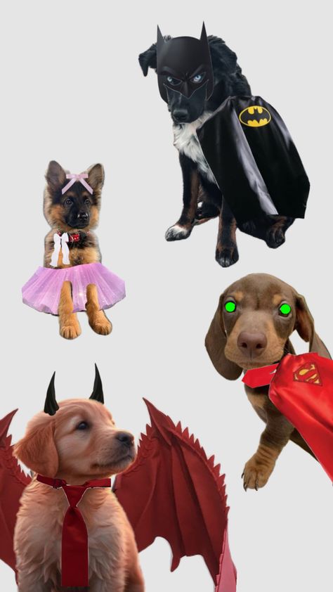 Puppy Halloween costumes!! 😀 #puppies #costumes #halloween Puppy Halloween Costumes, Costumes Halloween, Halloween Costumes, Puppies, Halloween