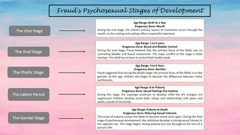 Freud Psychosexual Stages, Psychosexual Stages Of Development, Psychosexual Stages, Stages Of Development, Bladder Control, Primary Sources, Toilet Training, School Project, School Projects