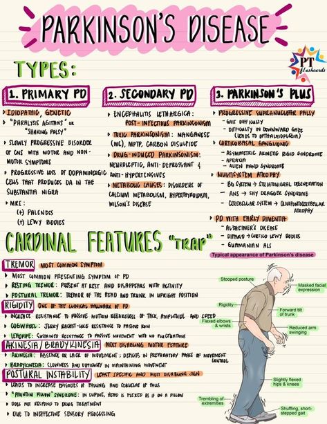 Pathophysiology Neurology, Neurology Nursing Notes, Nursing School Ipad Notes, Neuro Nursing Notes, Physical Therapist Assistant Student, Neuro Nursing Cheat Sheets, Npte Study Tips, Pathophysiology Nursing Study Guides, Antibiotics Cheat Sheet