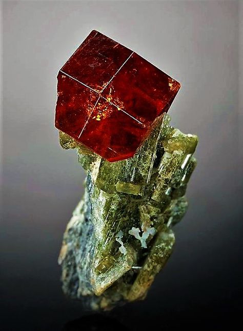 Grossular Garnet on Diopside Horned Lizard, Grossular Garnet, Red Gems, Vermont Usa, Geology Rocks, Beautiful Cities, Rock Collection, Minerals And Gemstones, Rocks And Gems