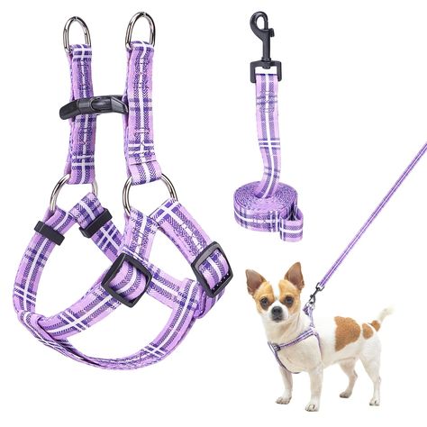 PRICES MAY VARY. X-Small Dog Harness: Size XS: Harness(Chest Girth 12"-15"); Leash(Length 5FT). The extra small dog vest harness in cute and vibrant patterns is an outstanding choice for big cats, small puppies breeds like Chihuahua, Havanese, Pomeranian, Yorkie, Shih Tzu, Maltese, Miniature Pinscher, etc. Please measure the size carefully before purchasing this for your pup. Well-made Puppy Harness: Never Breaks! Sturdy! Durable! The walking harness for dogs that pull is constructed of a rip-st Small Puppy Breeds, Dog Halter, Dog Coughing, Harness And Leash Set, Walking Harness, Small Dog Harness, Puppy Harness, Dog Vest Harness, Vibrant Patterns