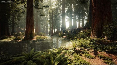 Procedural Redwood Forest from MAWI Sequoia Forest, Forest Biome, Conifer Forest, Forest Stream, Redwood Forest, Forest Painting, Old Trees, Fantasy Places, Level Design