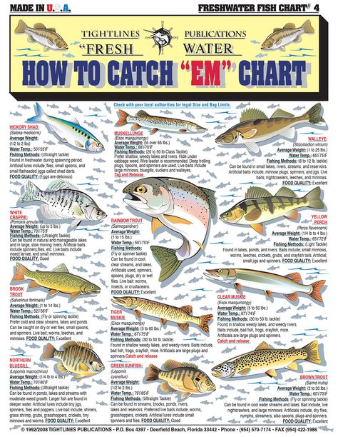 Fresh Water Fishermans Special! - Album on Imgur Fish Infographic, Fish Chart, Fishing Gadgets, Rainbow Trout Fishing, Camp Gear, Trout Fishing Tips, Ice House, Fishing For Beginners, Fishing Stuff