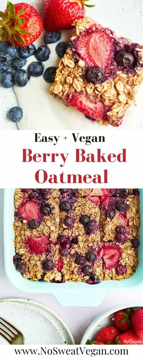 Vegan Oatmeal Bake Recipes, Easy Vegan Baked Oatmeal, Paleo Baked Oatmeal, Wfpb Baked Oatmeal, Baked Oatmeal Recipes Vegan, Vegan Oatmeal Breakfast Bars, Baked Oatmeal Recipes No Eggs, Baked Oatmeal Without Eggs, Baked Oatmeal Without Banana