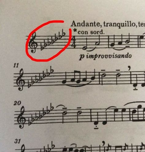 Thank you, but NO!! Funny Sheet Music, Funny Band Jokes, Musician Memes, Music Relatable, Musician Jokes, Music Memes Funny, Music Key, Funny Band, Marching Band Memes