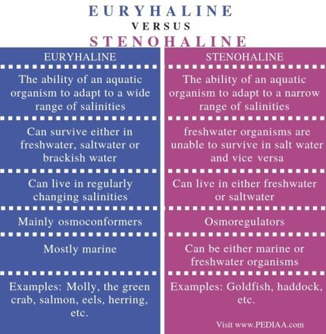 What is the Difference Between Euryhaline and Stenohaline - Pediaa.Com Foods To Lower Cholesterol, High Cholesterol Diet, Ways To Lower Cholesterol, To Lower Cholesterol, Lower Ldl Cholesterol, Plant Sterols, Cholesterol Lowering Foods, Chemical Structure, Cholesterol Diet